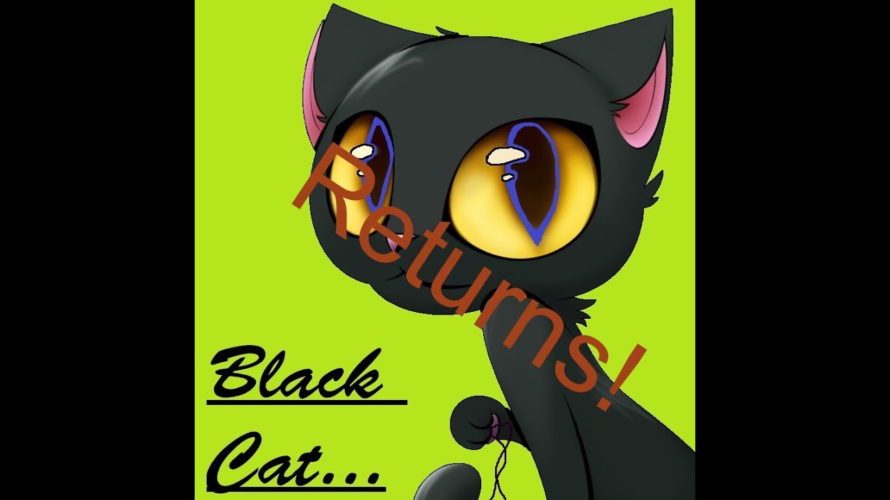 Black Cat Returns