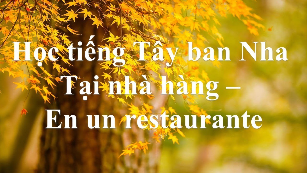 Từ vựng tiếng Tây ban Nha. Tại nhà hàng - En un restaurante