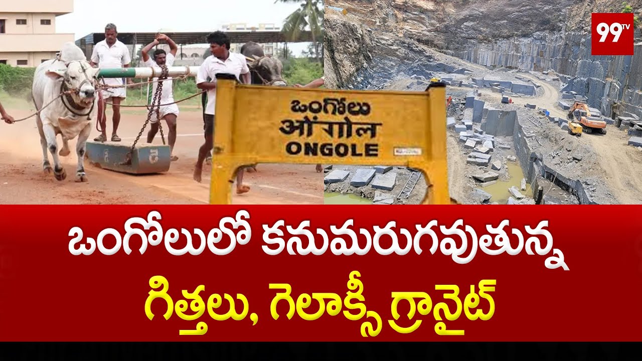 ఒంగోలులో కనుమరుగవుతున్న గిత్తలు, గెలాక్సీ గ్రానైట్ | Ongole OX, Galaxy Granite | 99TV
