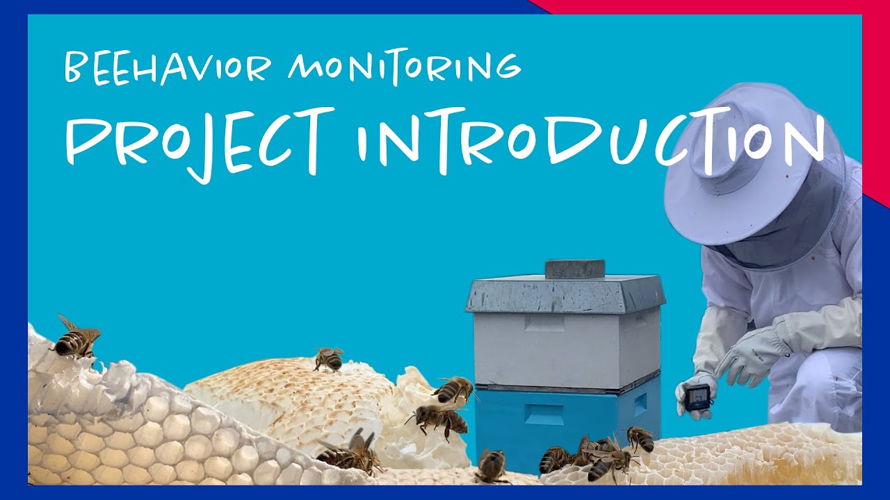 We made a smart beehive! // Beehavior Monitoring