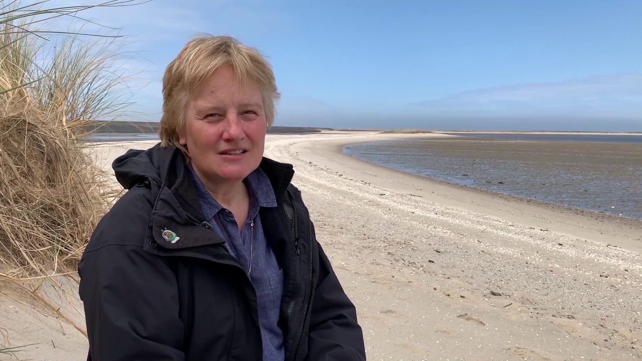 Women in Ocean Science for Marine #WorldHeritage: Karen Wiltshire (Wadden Sea, Germany)