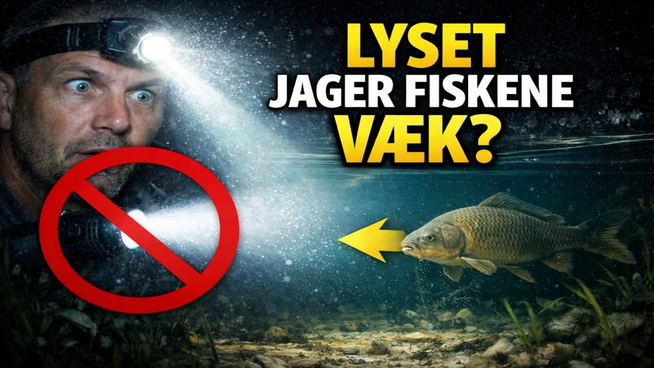 Din Pandelampe Ødelægger Dit Natfiskeri! Her er HVORFOR