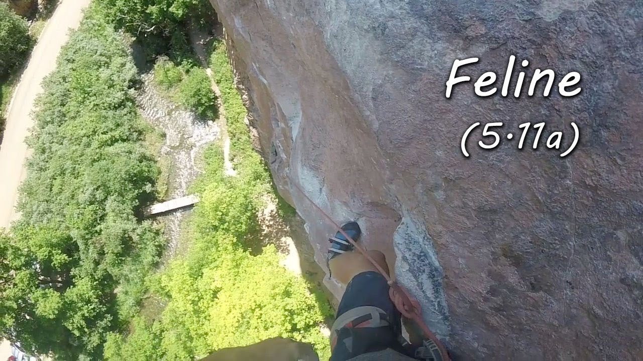 Sport Climbing on Feline