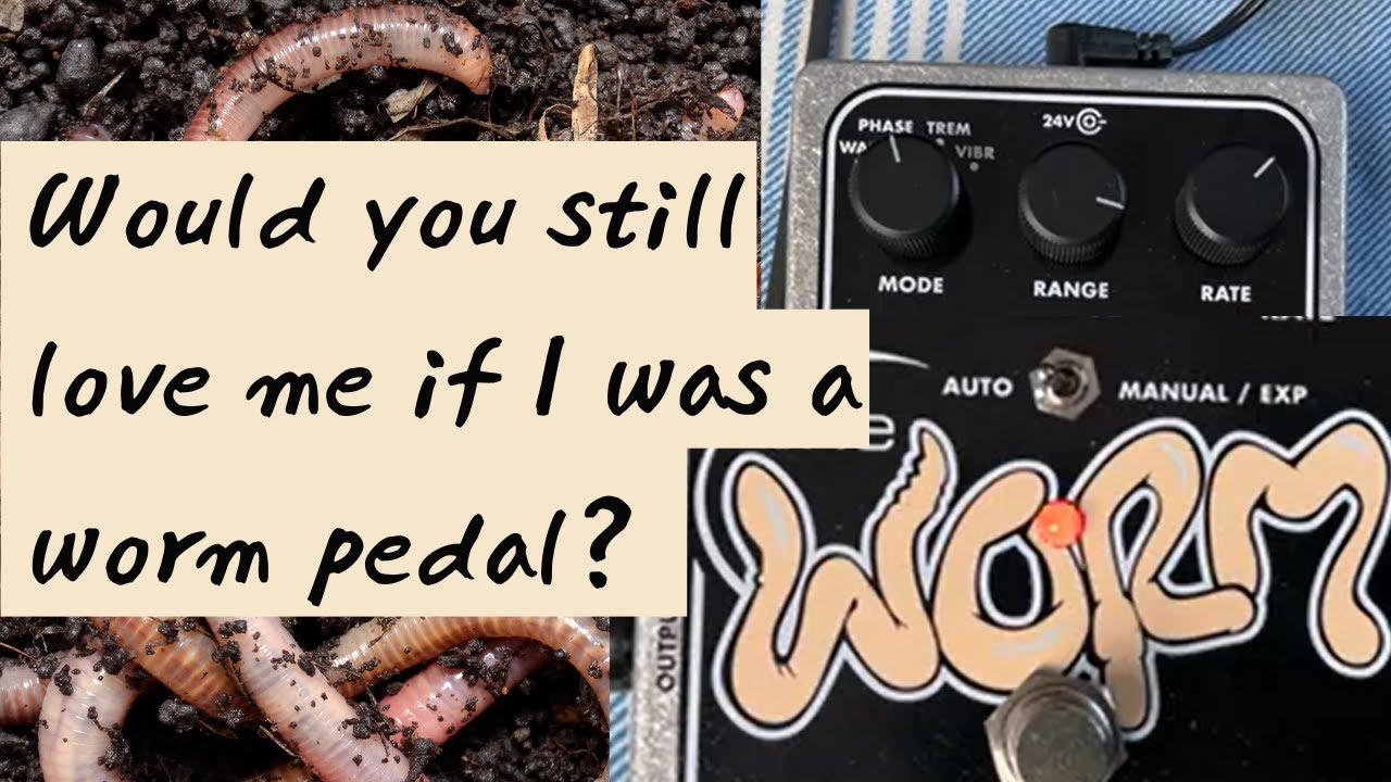 Electro-Harmonix The Worm | Modulation Combo Pedal Review & Demo (The Pedalphile)