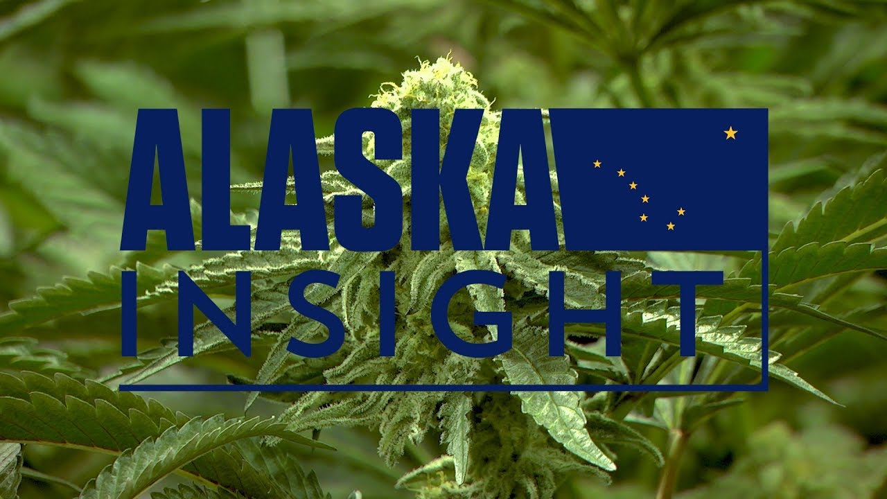 Alaska&rsquo;s Marijuana Industry | Alaska Insight