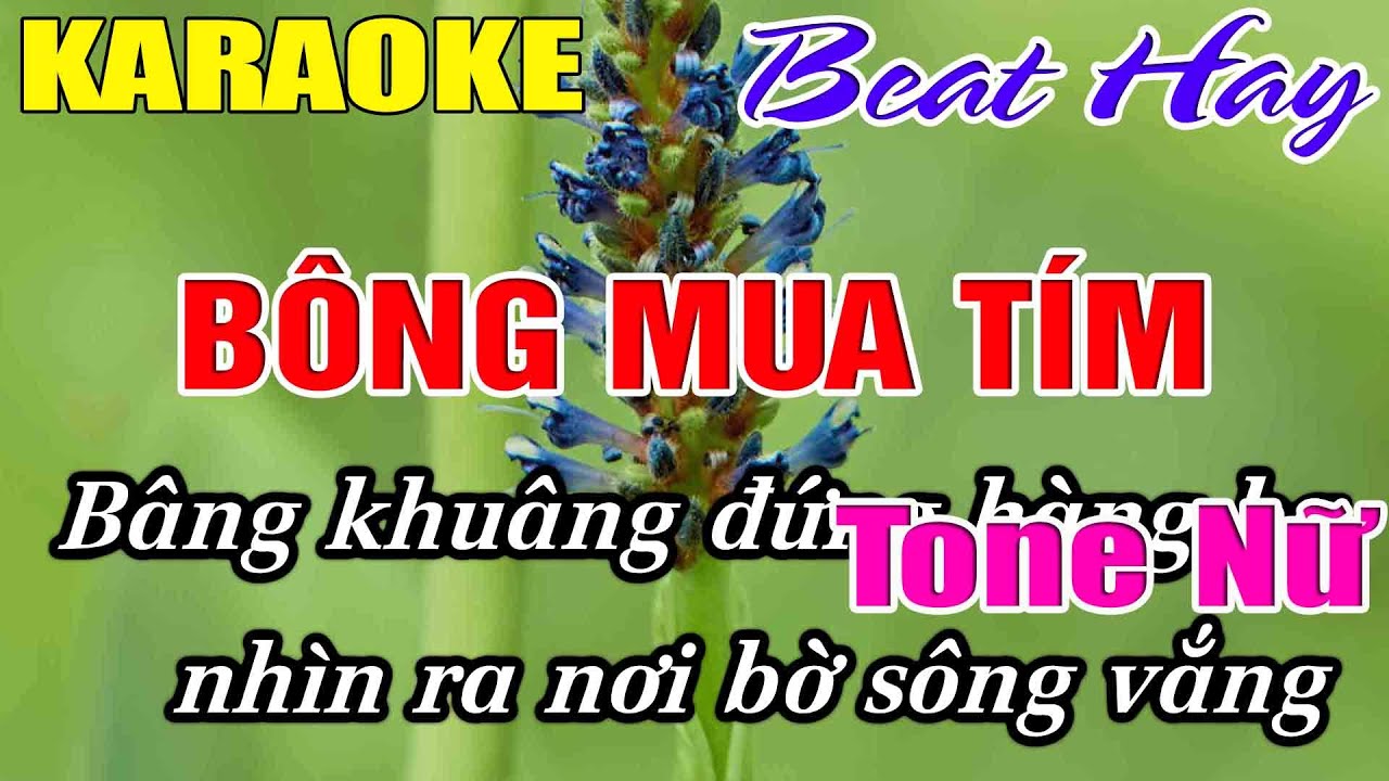 Bông Mua Tím Karaoke Tone Nữ Karaoke Hải Nhạc Sống 2026 - Beat Mới