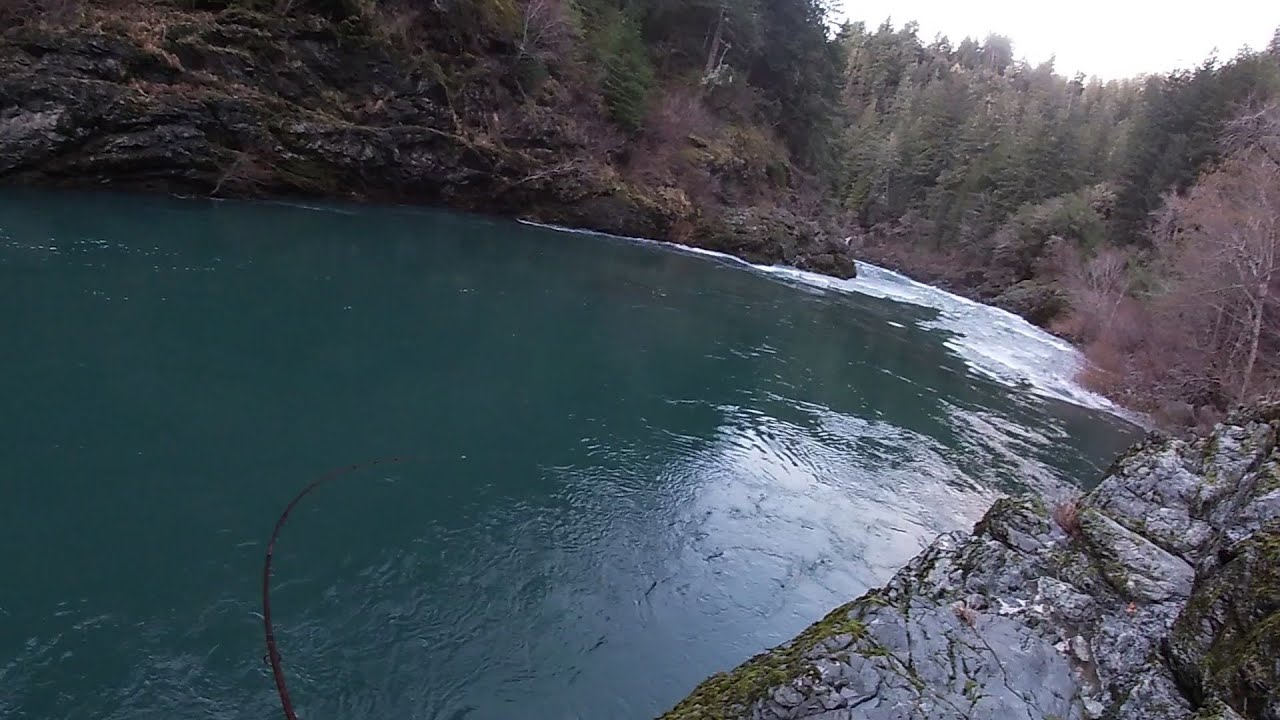 Pacific Northwest Steelhead Fishing Bobber Down!
