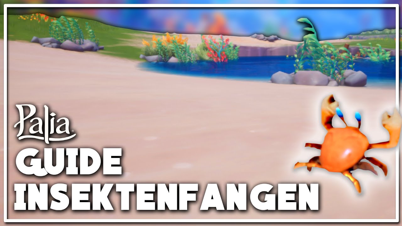 ALLES über Insektenfangen - GUIDE
