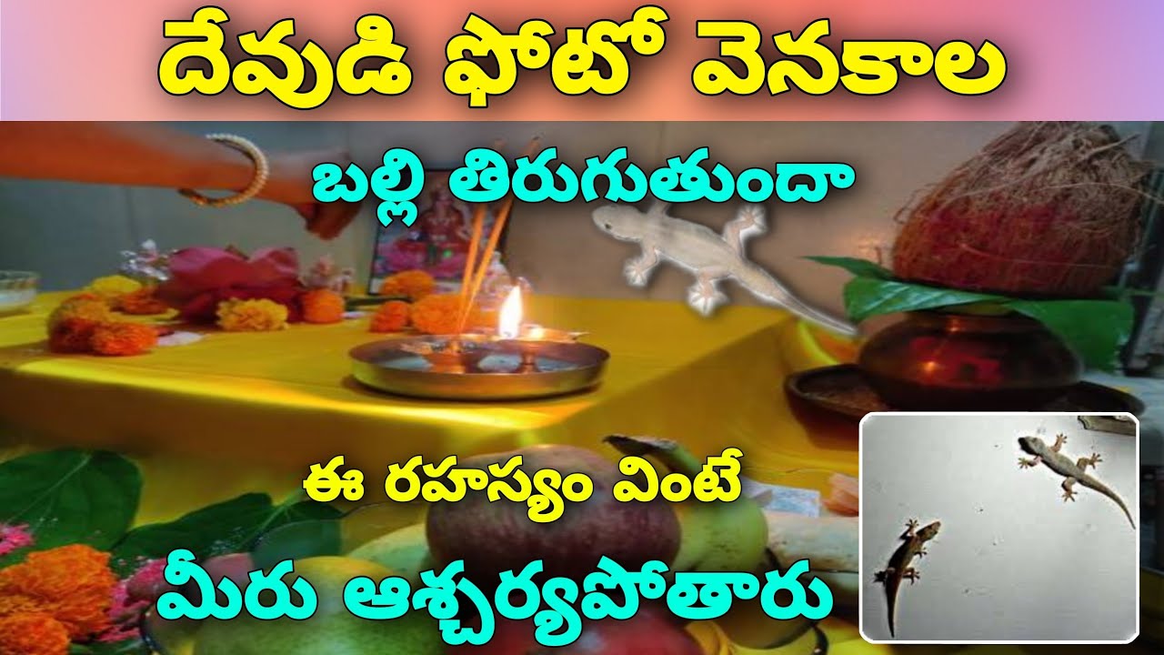 దేవుడి ఫోటో వెనకాల బల్లి తిరుగుతుందా ఈ రహస్యం వింటే మీరు | Bhakti Sandehalu | Nithya Sathyalu |