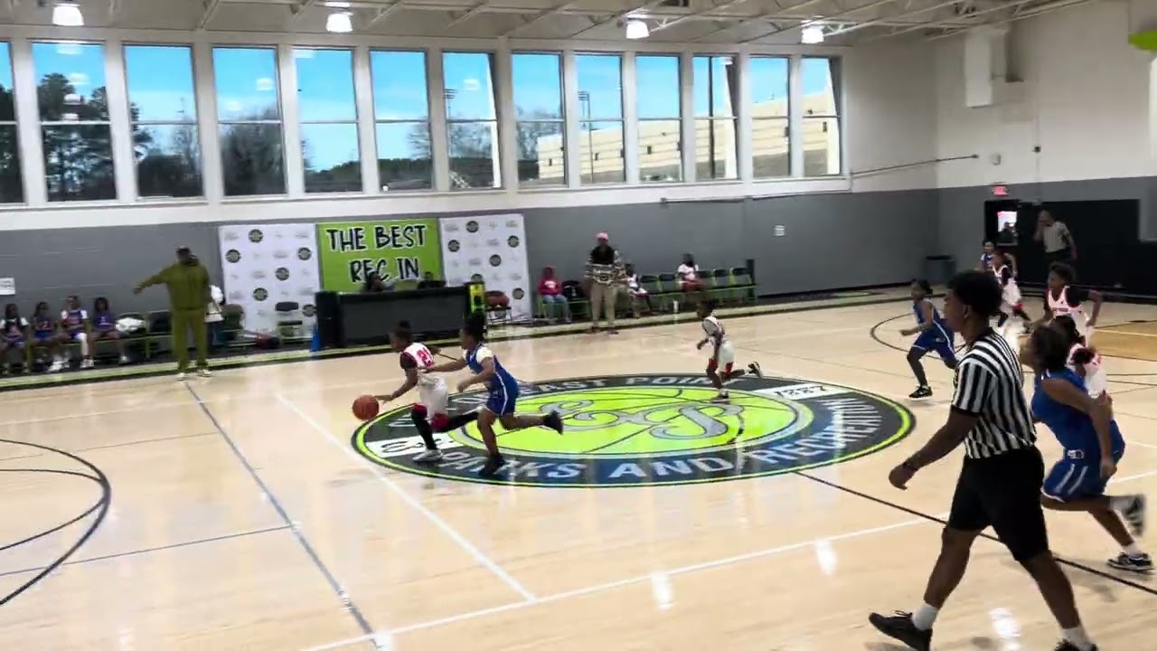 Honeybees(game2)