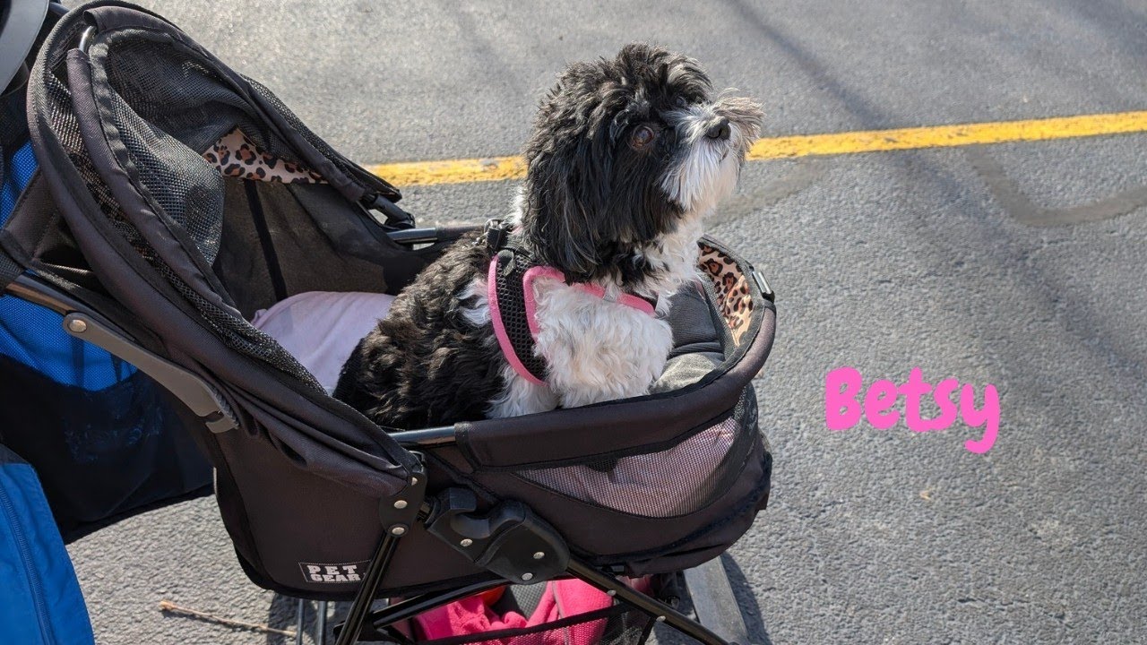 She is really enjoying being out today!