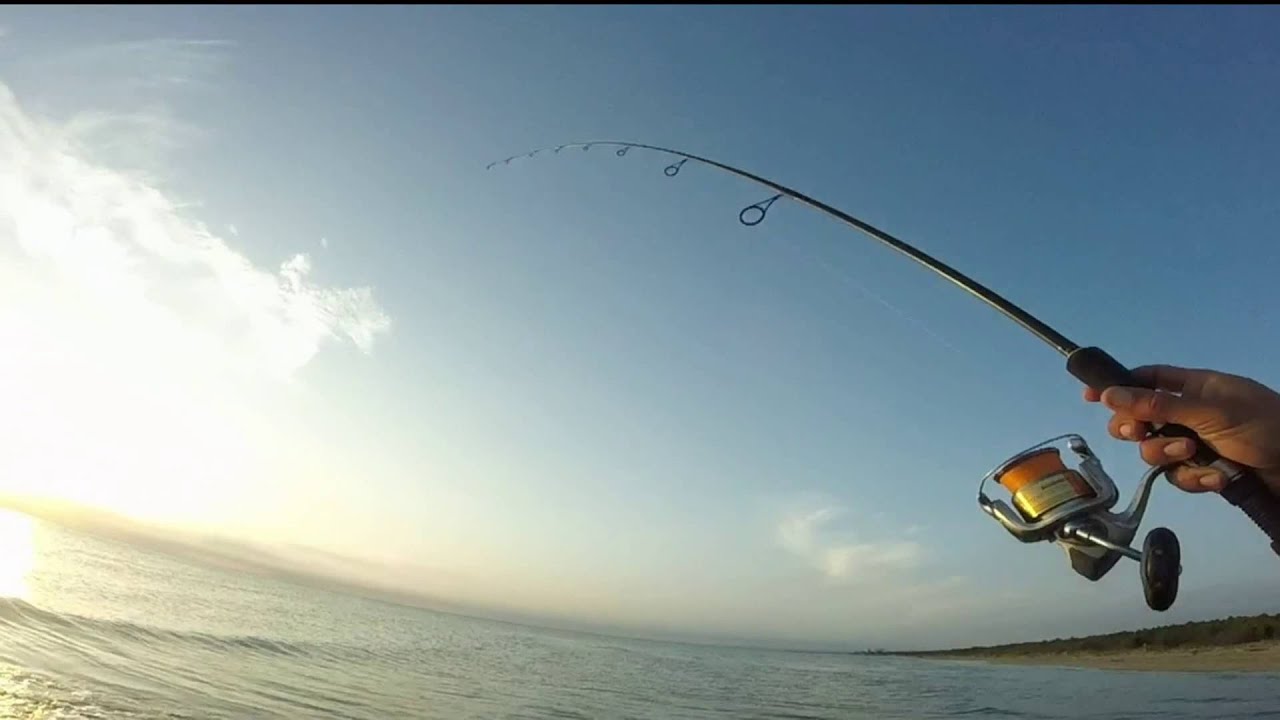 Nord Adriatico autunno spinning spigola 68cm. in spiaggia 2015