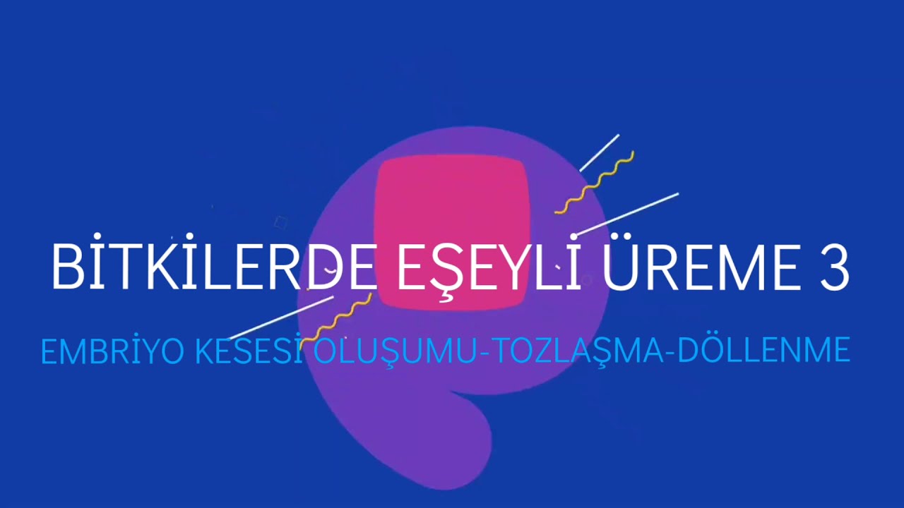 EŞEYLİ BİTKİLERDE ÜREME -3 EMBRİYO KESESİ OLUŞUMU- TOZLAŞMA ve DÖLLENME