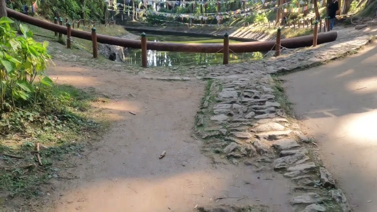 Lamahata eco park || Lamahata || Lamahata Nature parkb|| offbeat Darjeeling