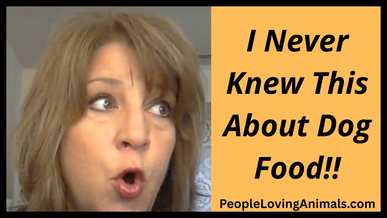 Considering Switching Your Dog's Food? Check Out My Nom Nom Dog Food Review | #nomnom #bestdogfood