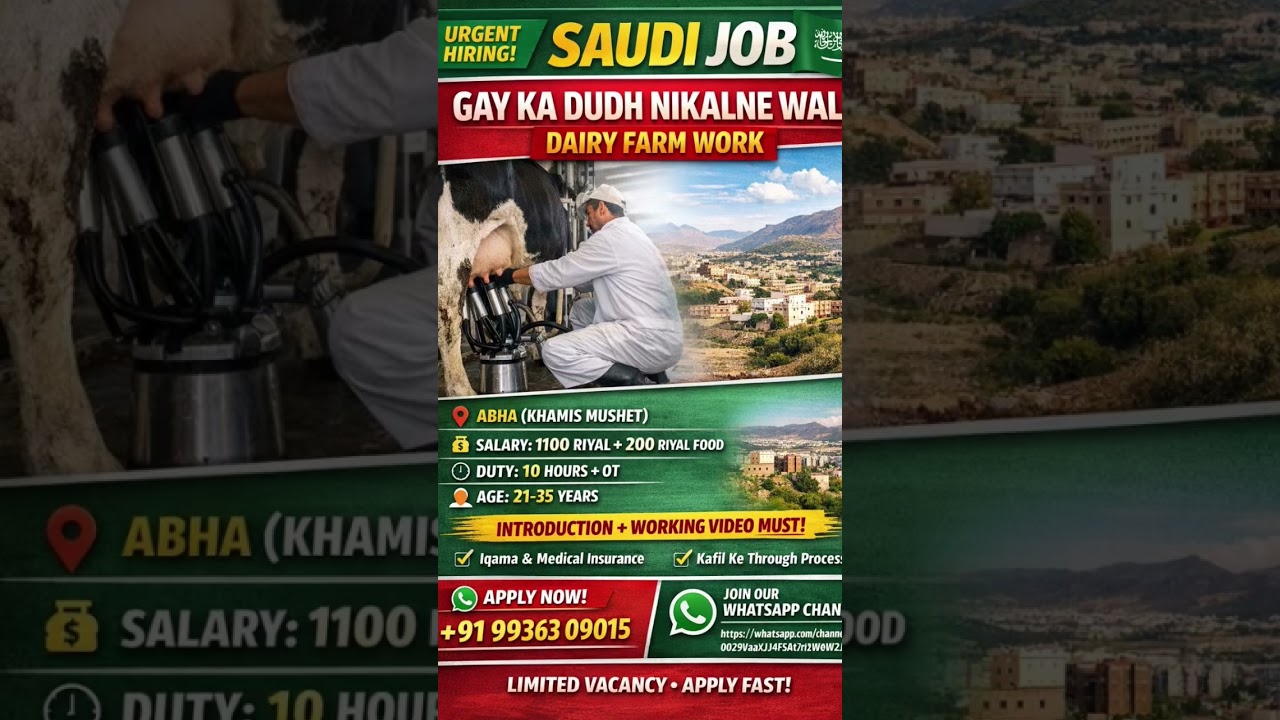 Saudi Arab Me Job | Gay Ka Dudh Nikalne Wala | Salary 1300 Riyal | Abha (Khamis Mushet) 