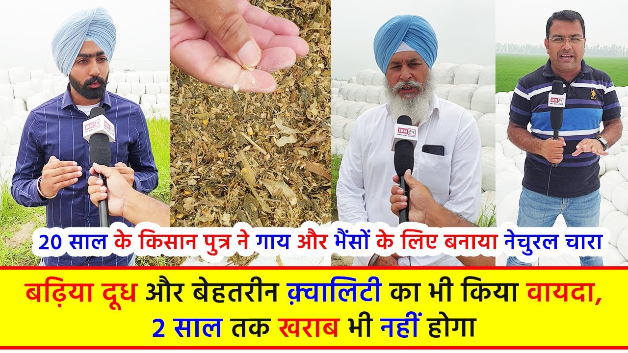 20 साल के किसान पुत्र ने गाय और भैंसों के लिए बनाया सबसे सस्ता नेचुरल चारा