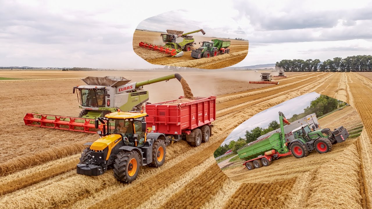 Fendt 930 Vario TMS + Pronar T743 | Урожай ячменя 2025 | Claas Lexion 770 TT, 760 и 460 | Урожай ...