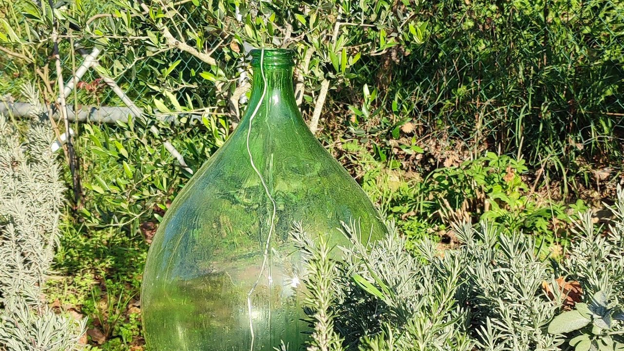 Вот так делают оливковое масло в Италии.