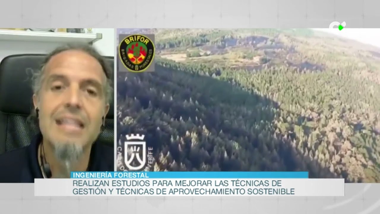 Gestión y planificación forestal