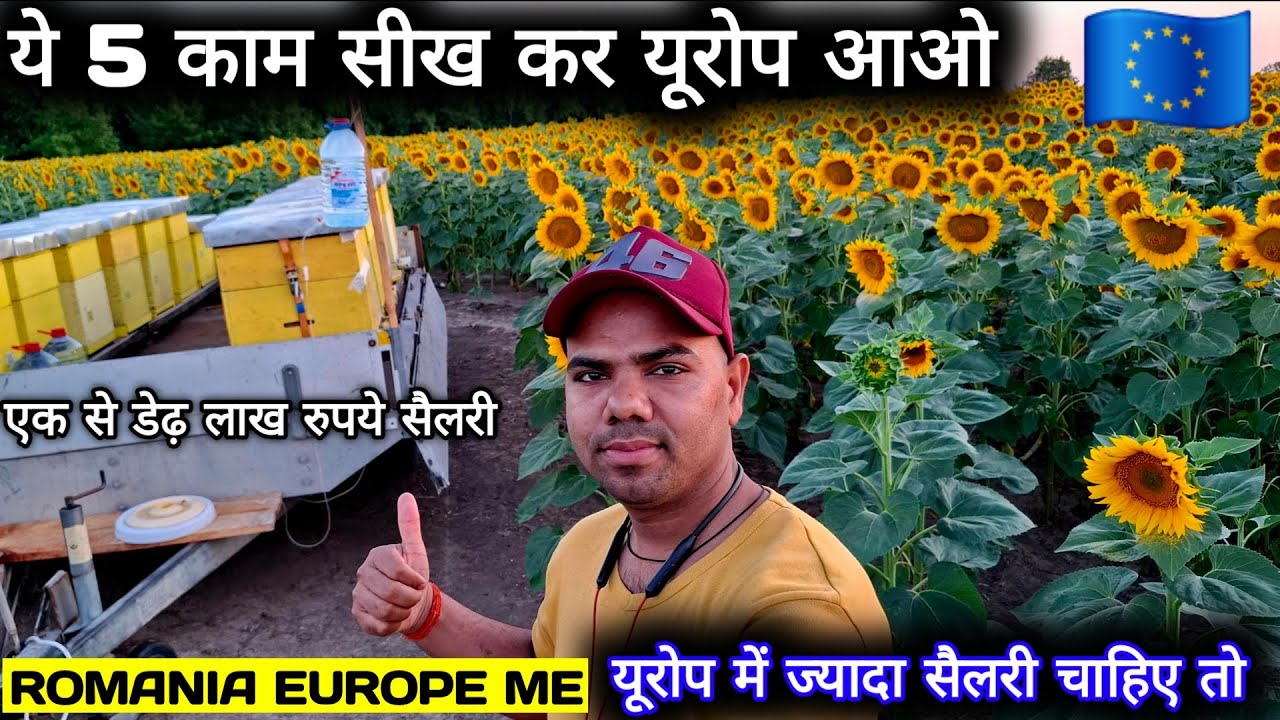 ये 5 काम सीख कर यूरोप आओ Salary EK लाख से शुरू 🇪🇺 | Europe Job Salary For Indian 2025 🇷🇴 Romania Job