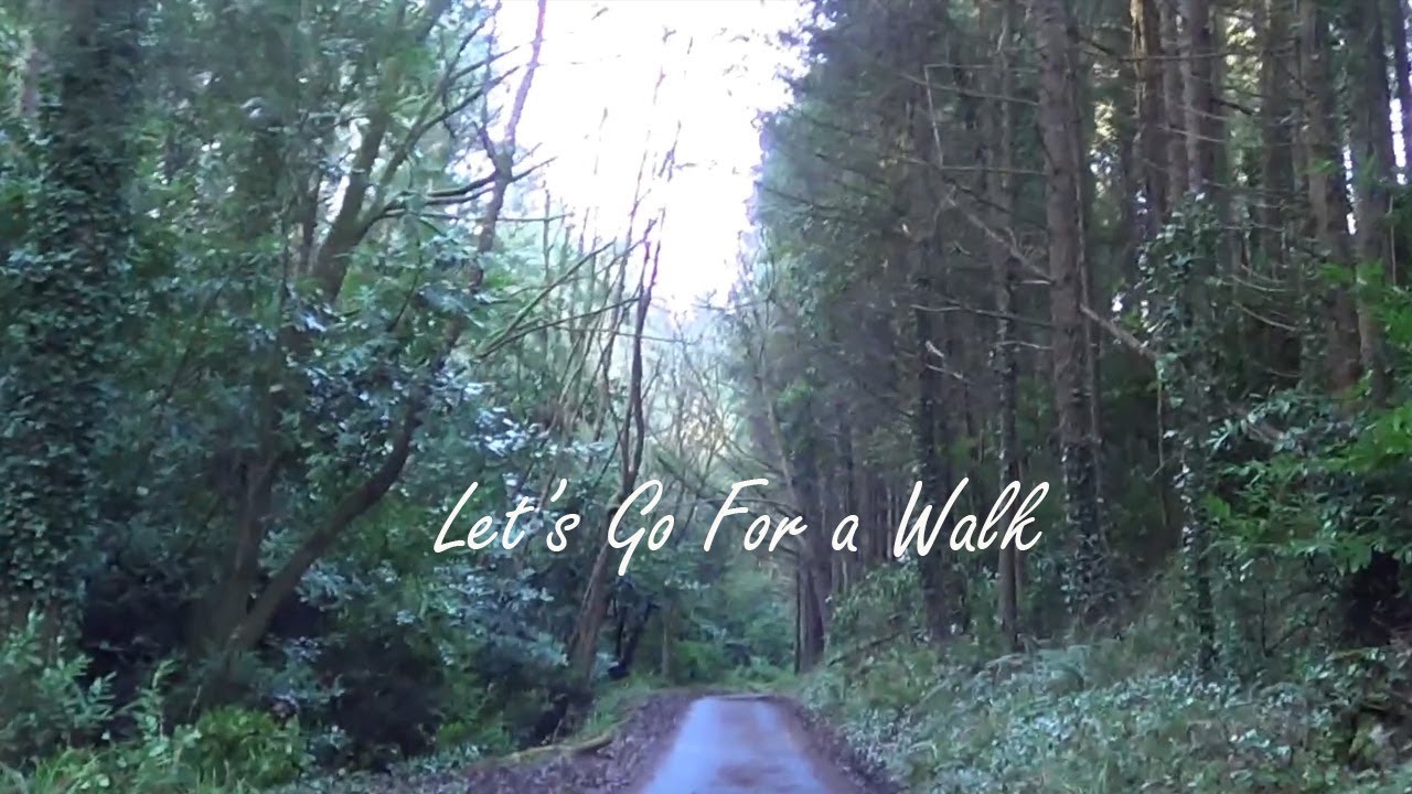 Lets Go For A Walk
