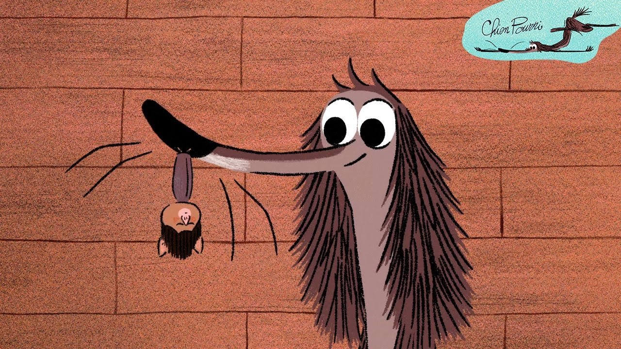Chien Pourri Fait La Chauve Pourri | Chien Pourri | 35' Compilation | Dessin animé pour les enfants