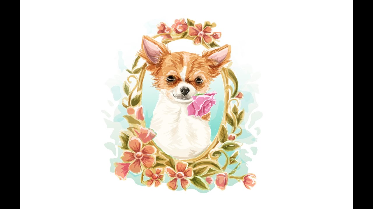 Time Lapse Adobe Illustrator : Cihuahua Vector Water Color Illustration