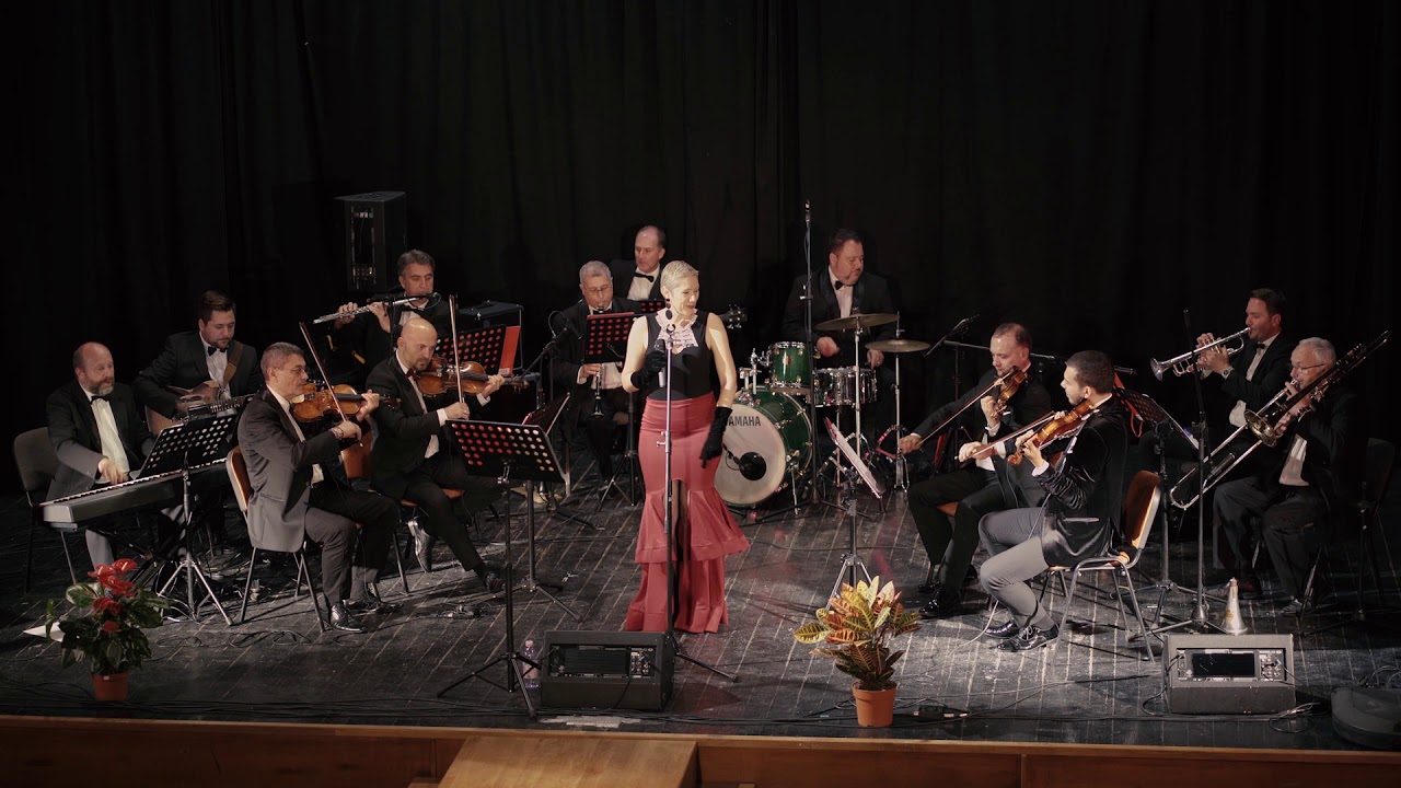 Monica Opra &  Orchestra Castelanii Brasov - New York, New York