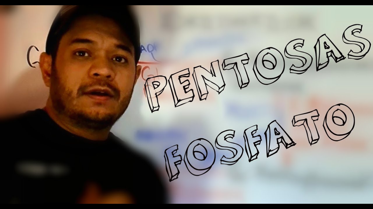 PENTOSAS FOSFATO |  Profe Murillo