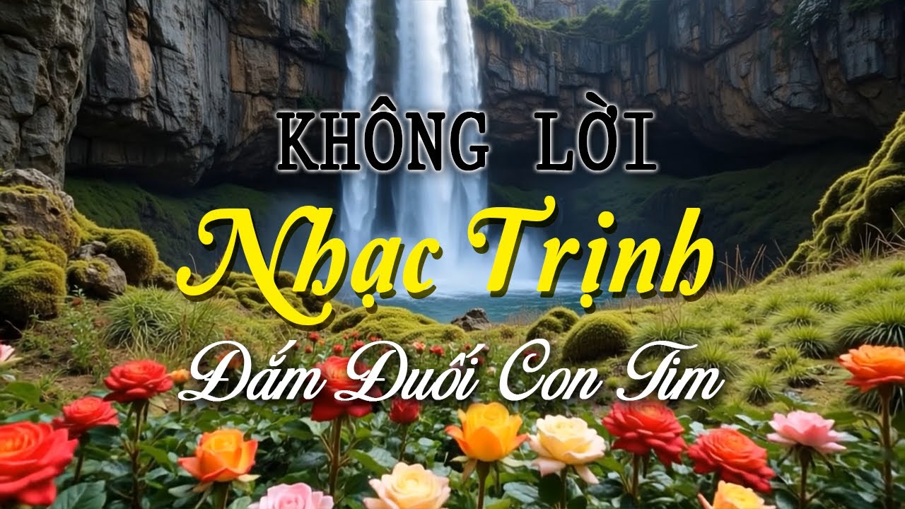 Nhạc Không Lời Trịnh Công Sơn, Đắm Đuối Con Tim, Hòa Tấu Guitar Xưa Chữa Lành Tinh Thần
