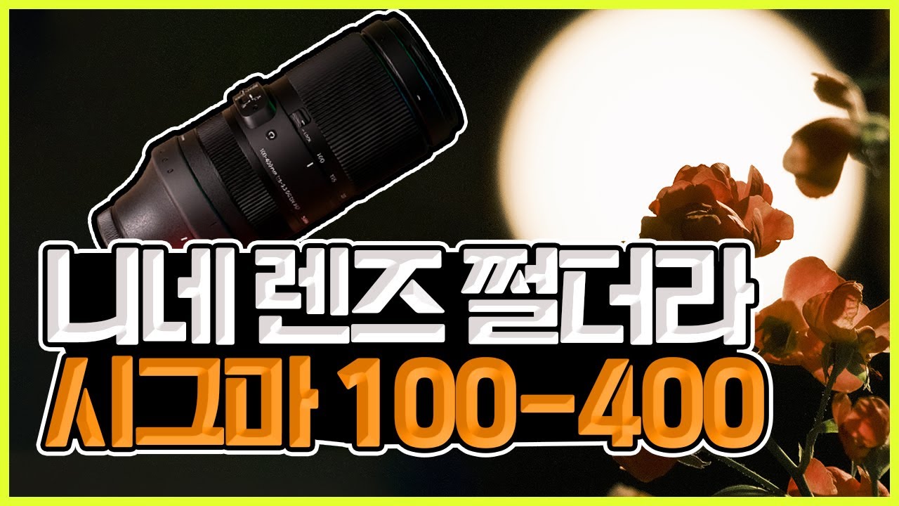 사진이 질렸다? 그럼 가벼운! 초망원렌즈😱! 써보세요! 시그마 100-400mm #렌주추천 #사진잘찍는법