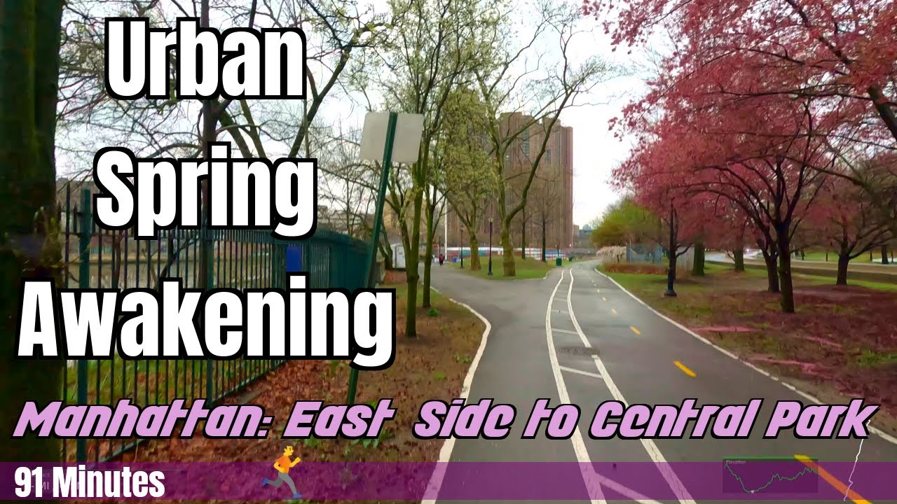 Spring Awakening Run | Bronx to Central Park Blooms [356]