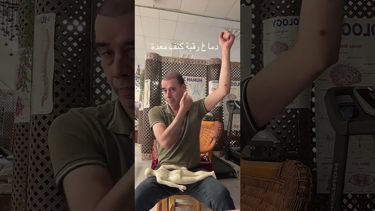 мозг шея плечо желудок