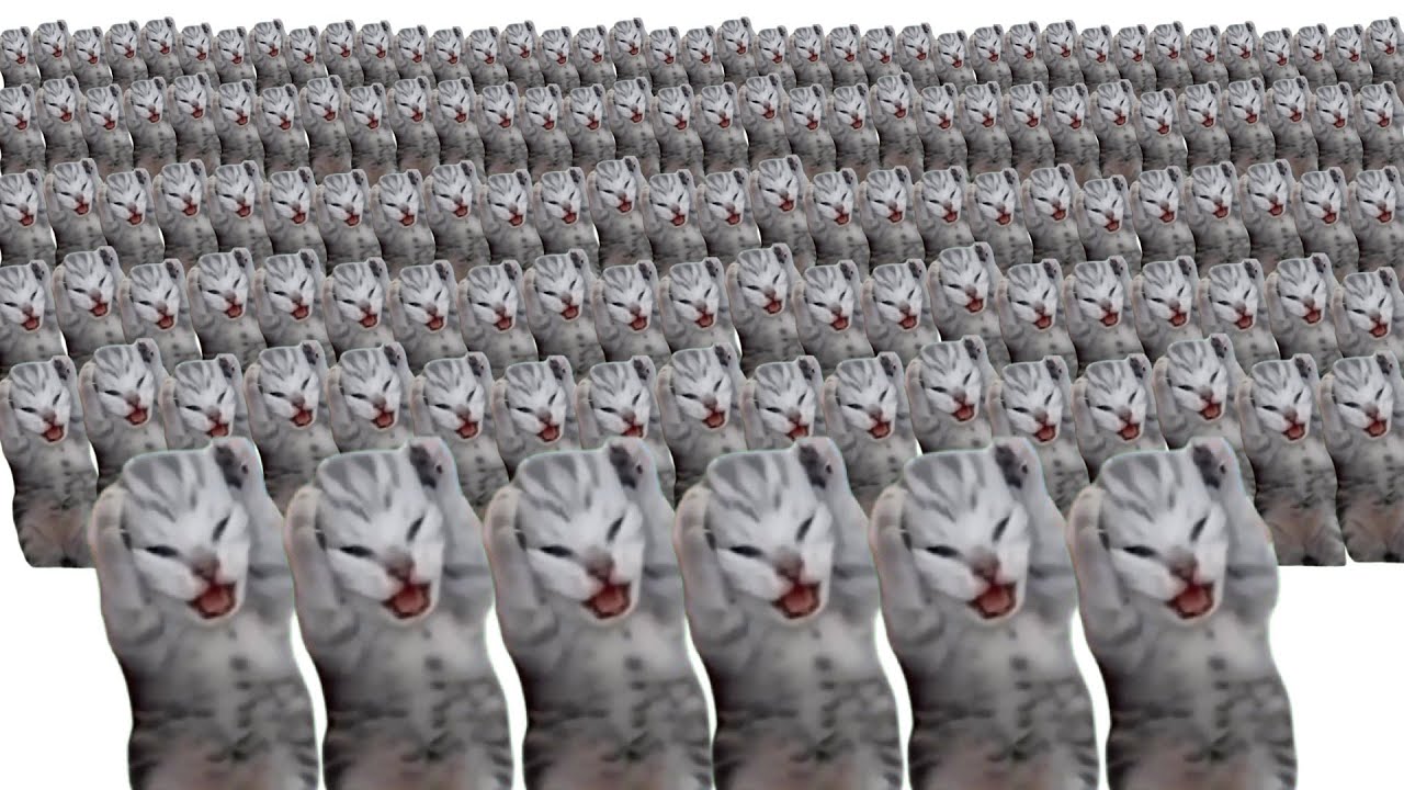dramatic kitten meme x10000000