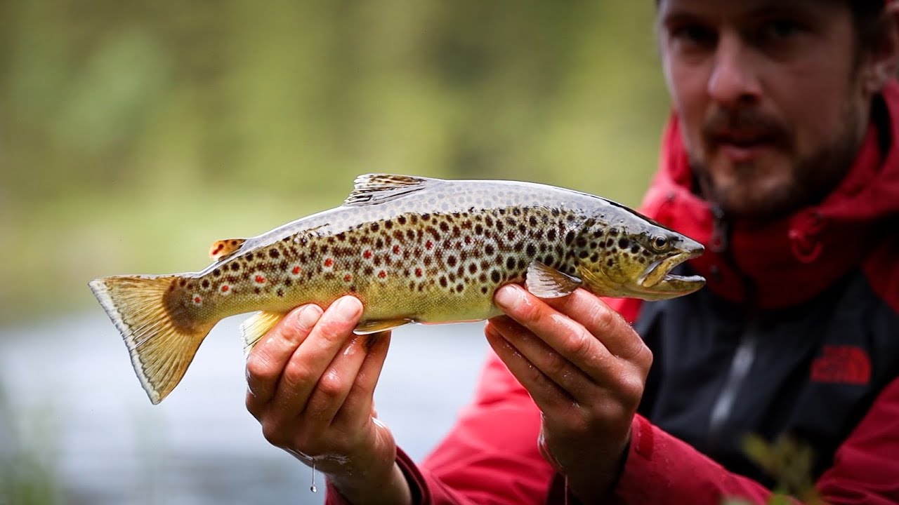 Vemdalen 2020 | Flyfishing | Canon EOS R