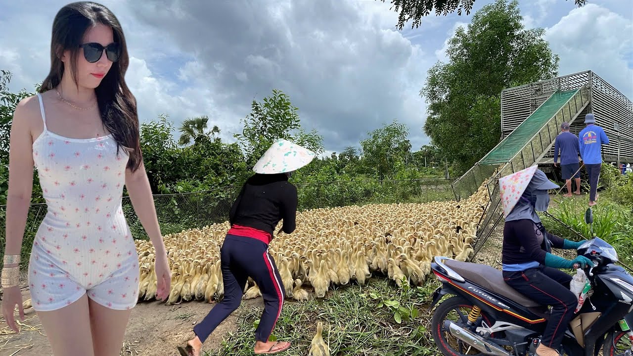 Full Video: How We Transport 100,000 Ducks Across Vietnam’s Countryside 