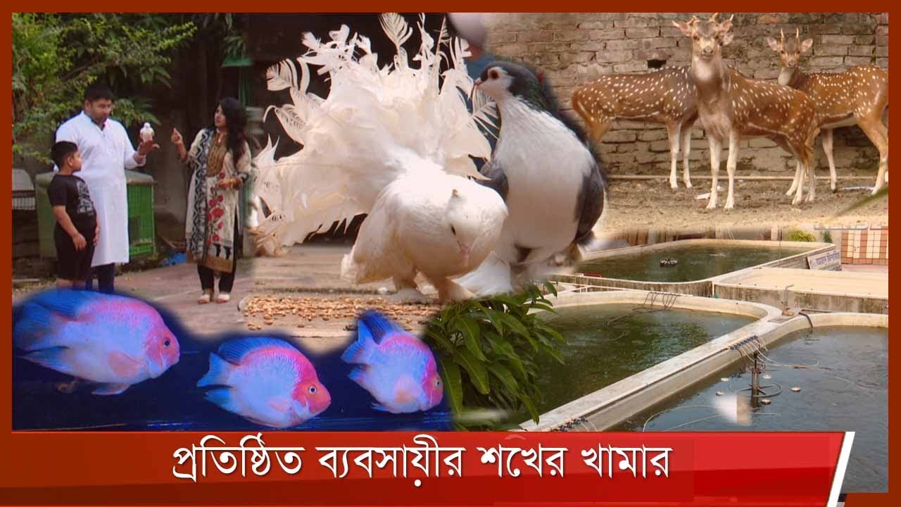 প্রতিষ্ঠিত ব্যবসায়ীর শখের খামার || আমার কৃষি আমার খামার | Amar Krishi Amar Khamar 5Nov.21