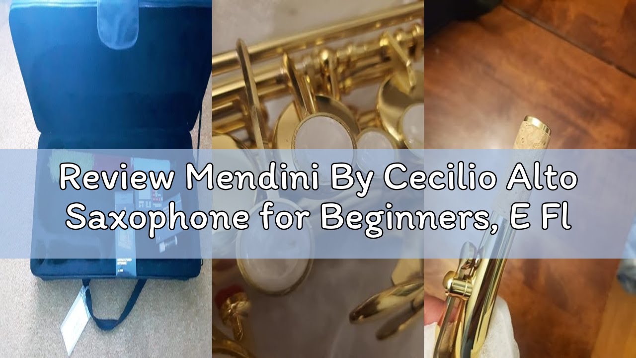 Review Mendini By Cecilio Alto Saxophone for Beginners, E Flat Alto Saxophone for Students Musicians