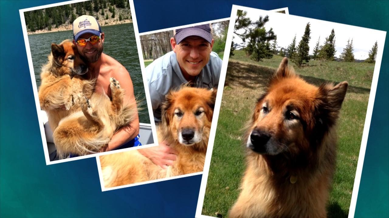 Dr. Travis Shares His Love for His Beloved Dog Nala