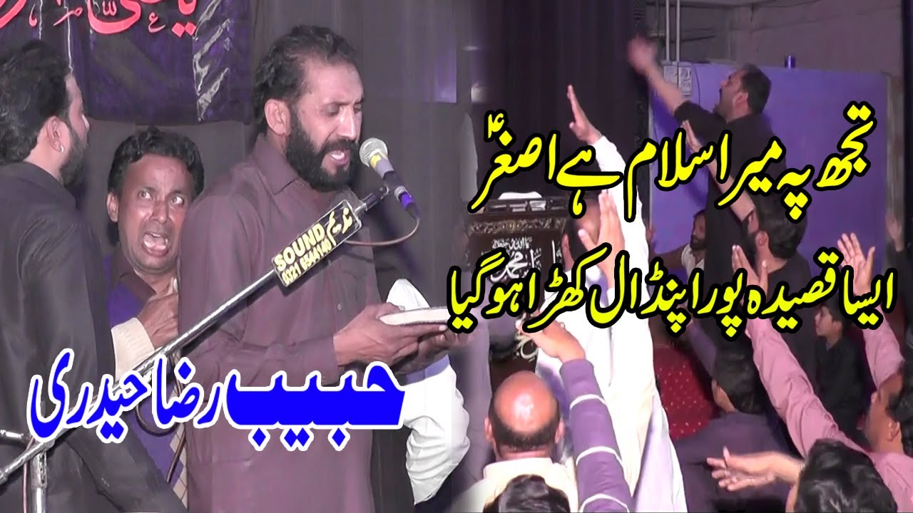 Tuj Pay Mera Salam Hai Asghar A.S -Zakir Habib Raza Haidri -New Qaseeda 2021
