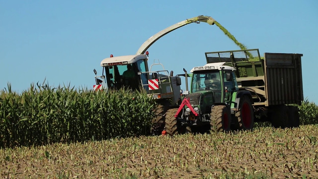 Maishäckseln mit 4×Fendt Vario | 724,415,313,516 | Claas Jaguar 840