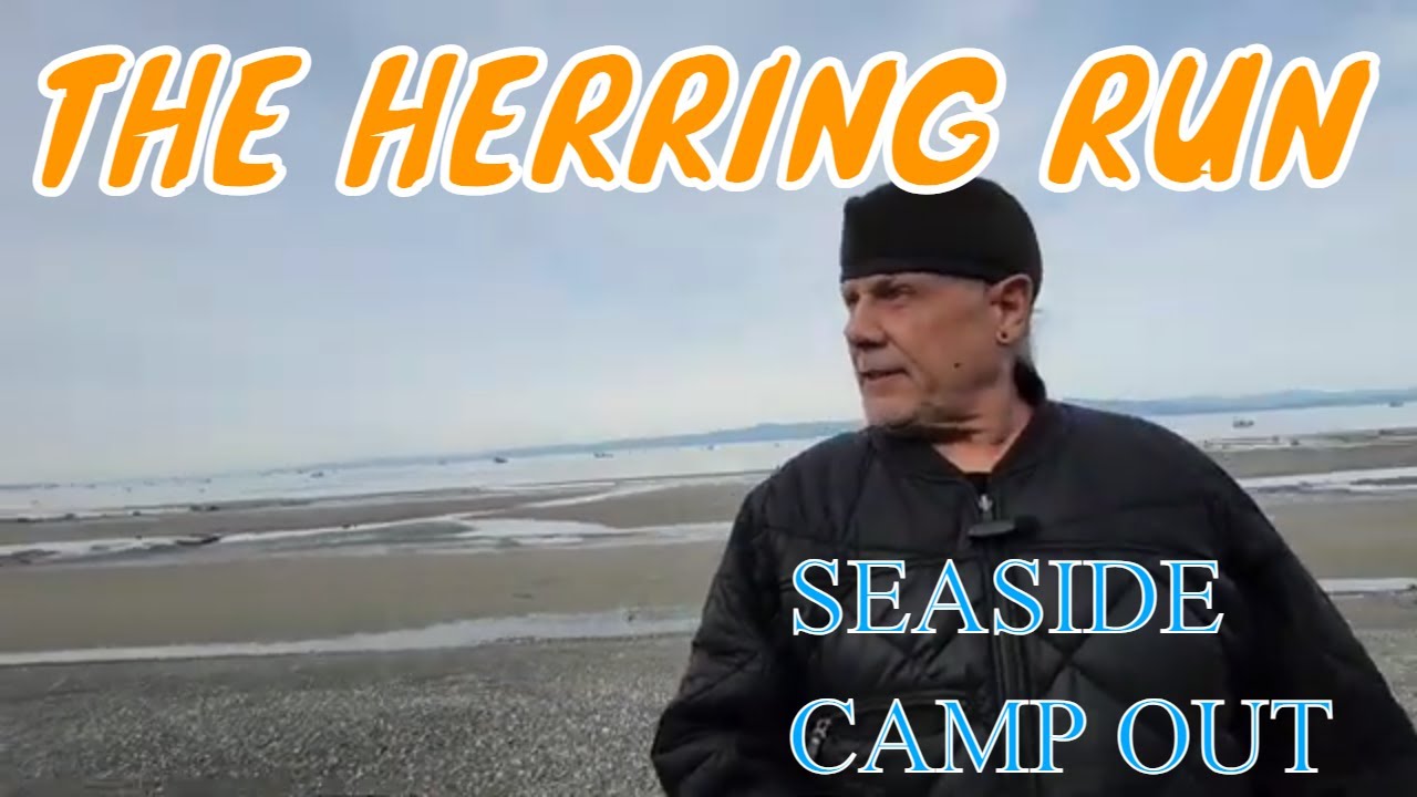 THE HERRING RUN and SEASIDE CAMPING #herringruns #seasidecamping #tinyhouselife #offgridlife
