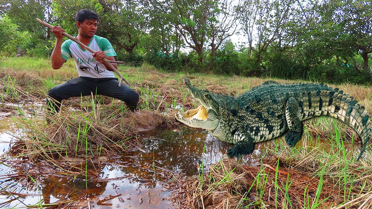Primitive Technology - Crocodile Trap Big Using M - 150 & Duck Crocodile Trap 100%