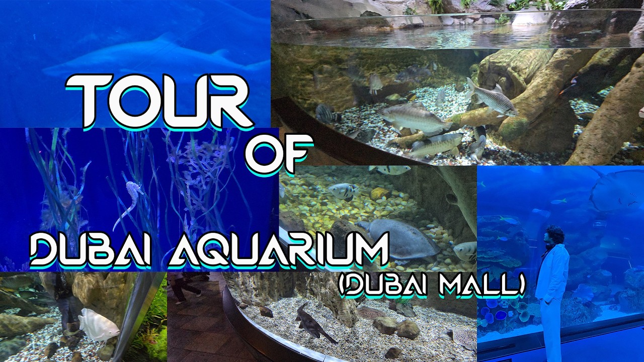 TOUR OF DUBAI AQUARIUM (DUBAI MALL)#SKVlogs #DubaiMall