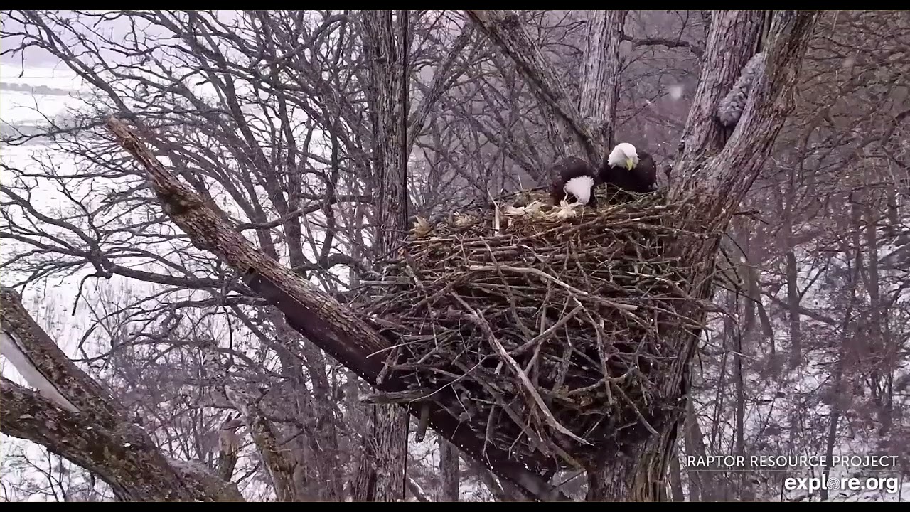 Decorah Eagles North Early morning with UM and DNF 02 28 2026