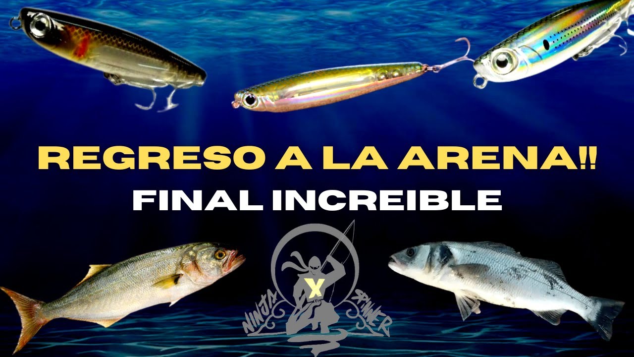 REGRESO  a la ARENA !! FINAL INCREIBLE
