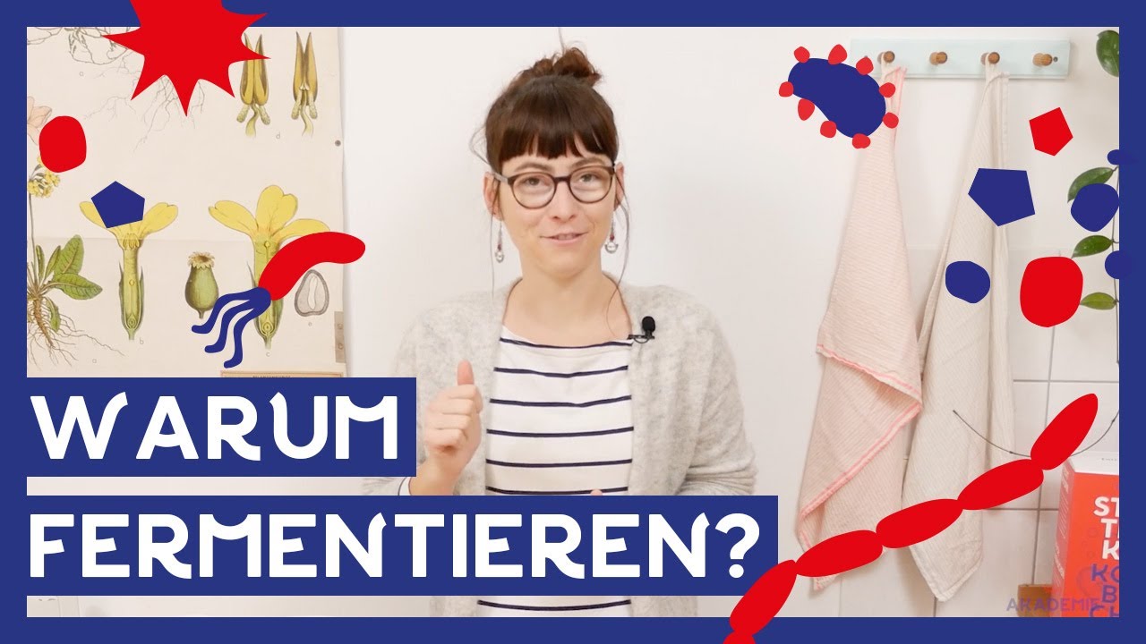 Warum Fermentieren? I 🌱 Gesund oder nur Modetrend?