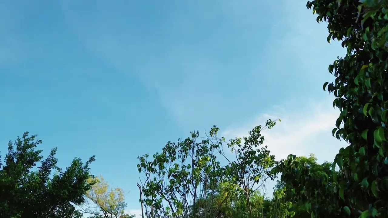 OMI - Cheerleader / Choreography By D Max (Trip Dance Video)