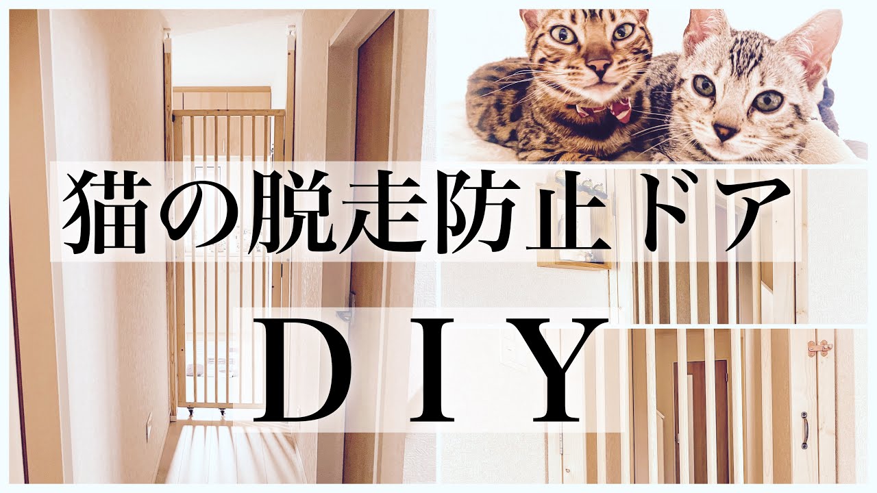 【DIY】低コストで誰でも作れる猫用の脱走防止ドア｜はじめてのDIY